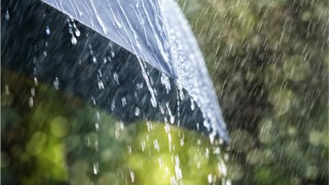 Umbrella in rain