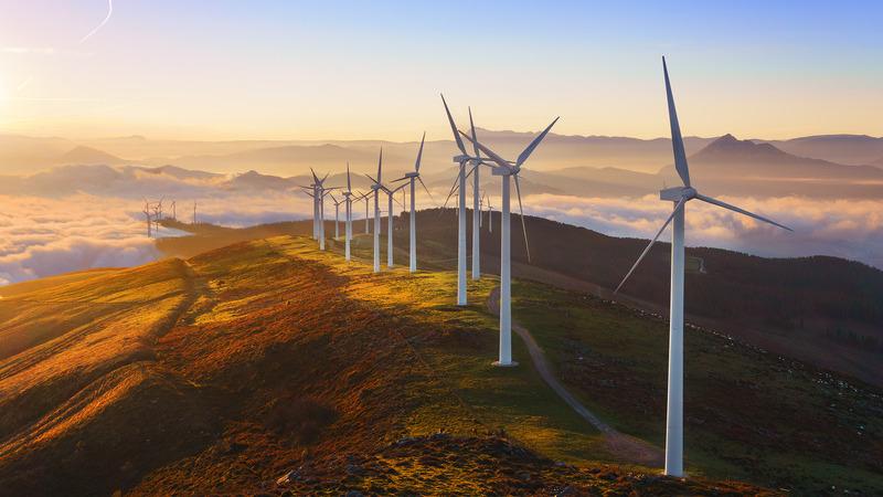 Sustainable business practices