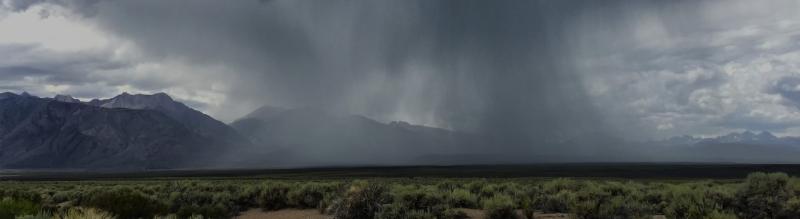 Precipitation sensors