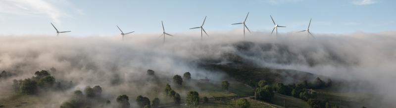 Windmills stick out of a foggy cloud in a pastorale scene of rural  lushness