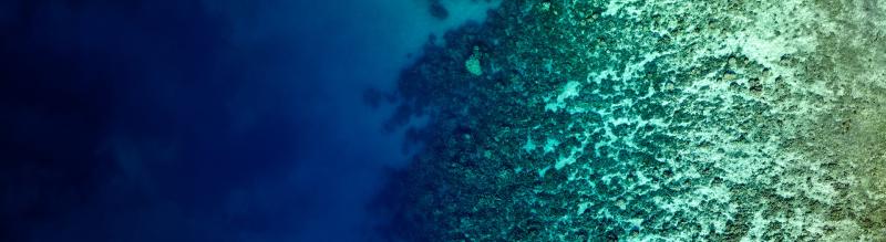 Aerial  view looking down of abstract patterns created by tropical barrier reef in the ocean.